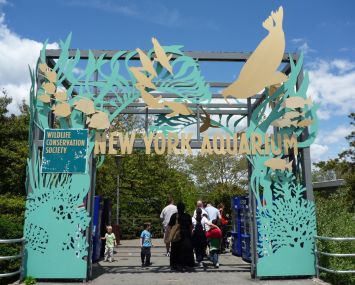 New York Aquarium (by Flickr user @e_chaya, used under a Creative Commons license).