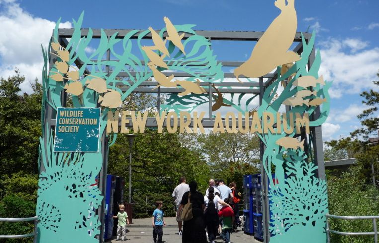 New York Aquarium (by Flickr user @e_chaya, used under a Creative Commons license).