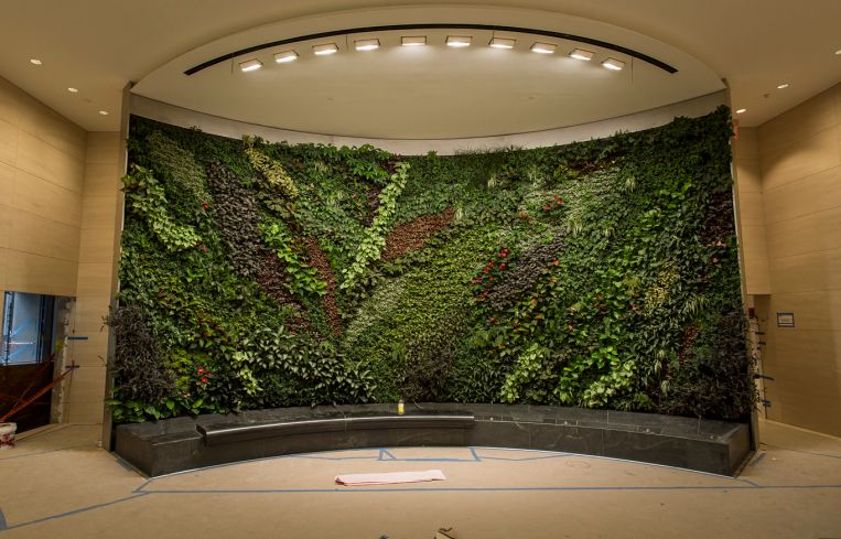 The living wall (Photo: Sasha Mazlov/For Commercial Observer).