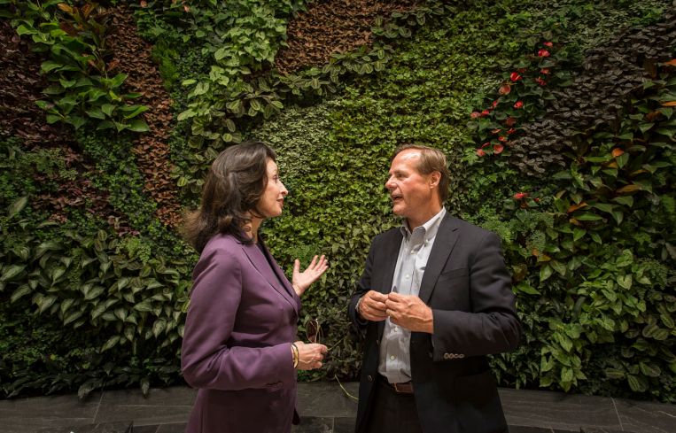 The living wall will be another social gathering spot. (Photo: Sasha Mazlov/For Commercial Observer).