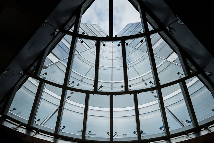 Under the canopy looking up. (Photo: Sasha Mazlov/For Commercial Observer).