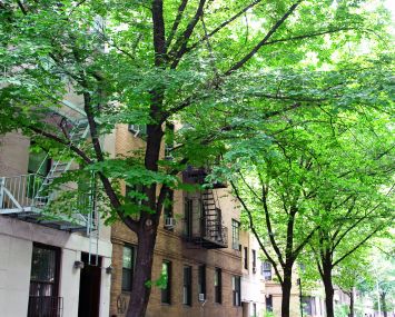 The Arthur at 245 West 25th Street (Photo Courtesy: CoStar Group).