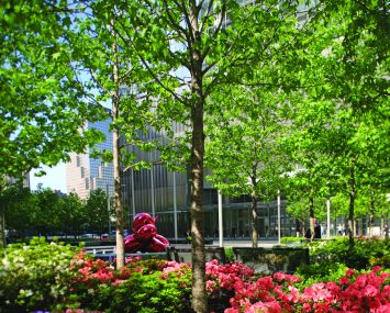 Silverstein Properties opted to build a park across from 7 World Trade Center.
