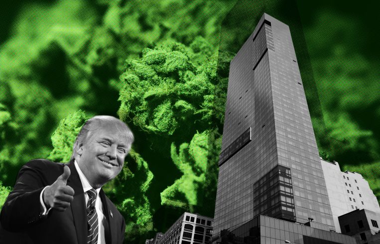 Trump Soho hosts a conference on the business of cannabis and real estate. Photo Illustration: Kaitlyn Flannagan/For Commercial Observer