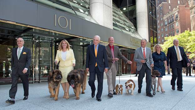 American Kennel Club Bringing HQ, Museum of the Dog to 101 Park Avenue –  Commercial Observer