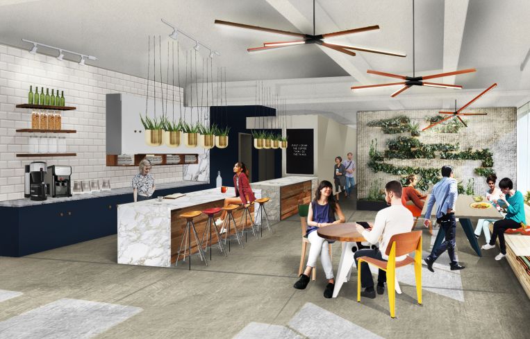 The pantry space is large enough for events and features more plants.