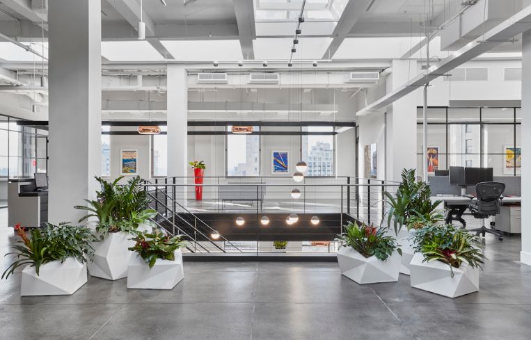 Plants with small red flowers help to add color without being over the top.