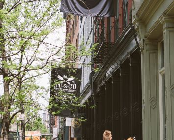 WeWork at 379 West Broadway.