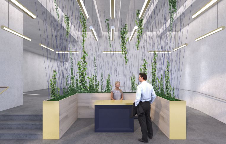 The planned lobby for the Cardinal Building will feature an unusual reception desk and polished concrete floors.
