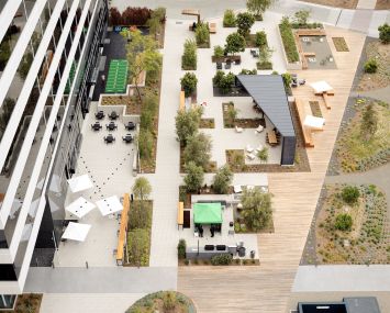 Playa District Main Campus