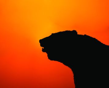 The sun hasn't set on 5-year CMBS issuance