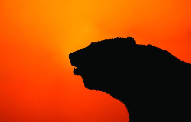 The sun hasn't set on 5-year CMBS issuance