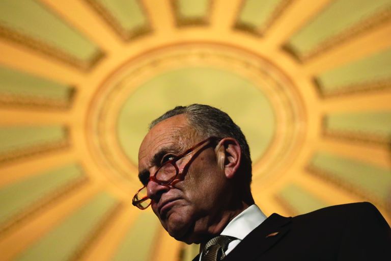 Citizen Schumer: Brooklyn's Own Takes Control of the US Senate