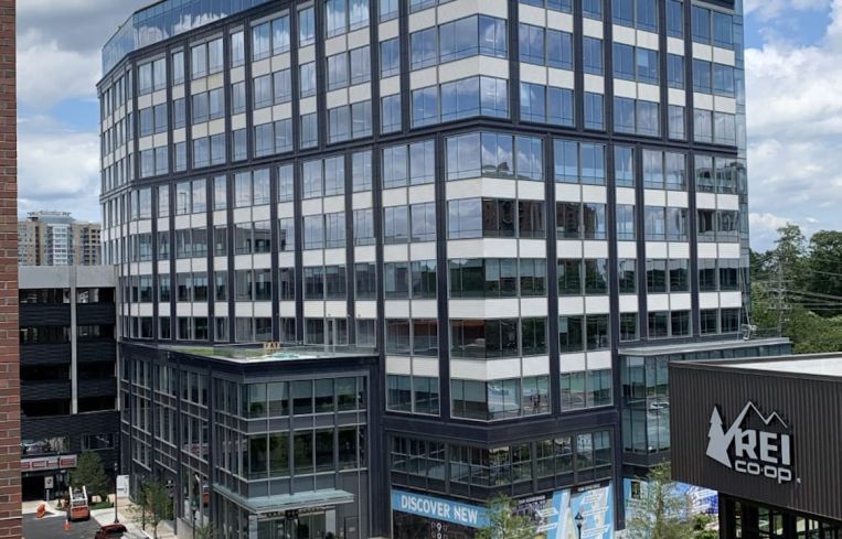 Industrious Pike & Rose