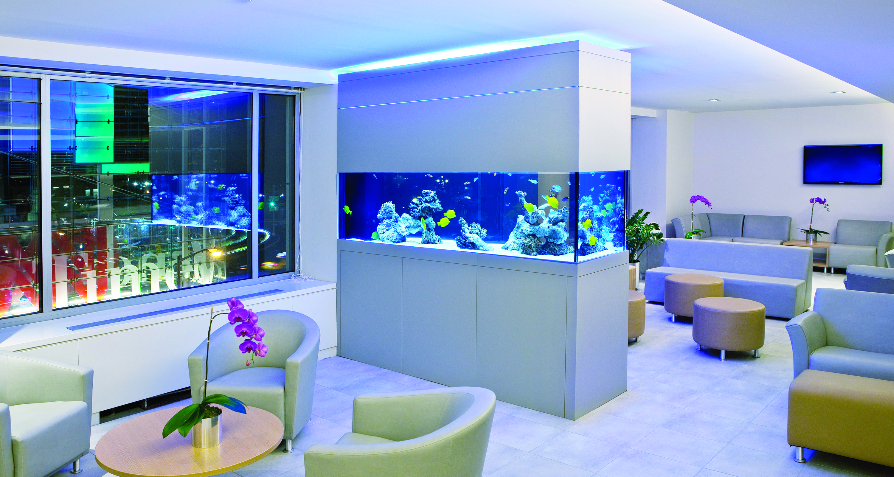 An aquarium built into the wall of a waiting room.