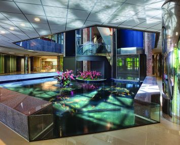 A pond with fish inside a building lobby.