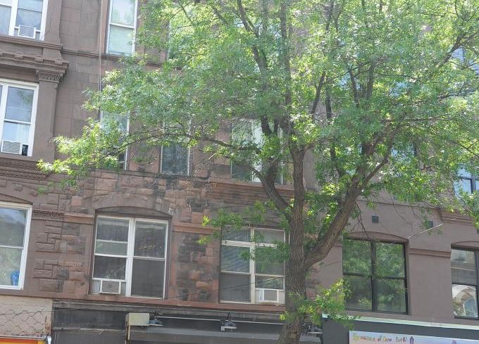 365 Fifth Avenue, Brooklyn.