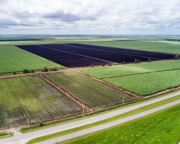 Belle Glade, Florida.