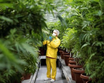 On Wednesday, U.S. Senate Majority Leader Chuck Schumer and Senators Cory Booker and Ron Wyden introduced a draft bill that would decriminalize cannabis at the federal level, a move that would open the floodgates to financing and real estate opportunities.