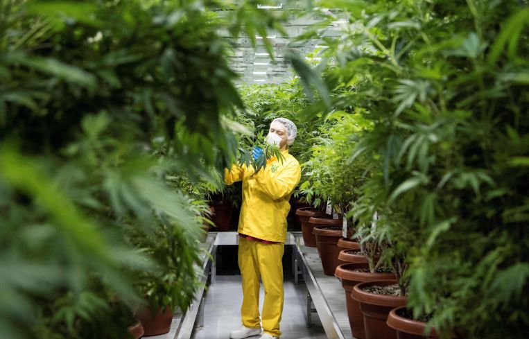 On Wednesday, U.S. Senate Majority Leader Chuck Schumer and Senators Cory Booker and Ron Wyden introduced a draft bill that would decriminalize cannabis at the federal level, a move that would open the floodgates to financing and real estate opportunities.