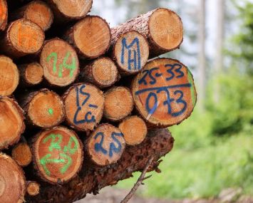 Lumber prices have shot up across Europe, America and the U.S. this spring because of pandemic sawmill closures and wildfires, putting contractors in New York and across the country in a tough position.