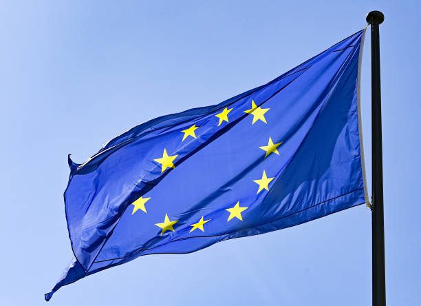 The E.U. flag