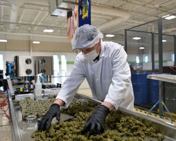 Cannabis cultivation facility