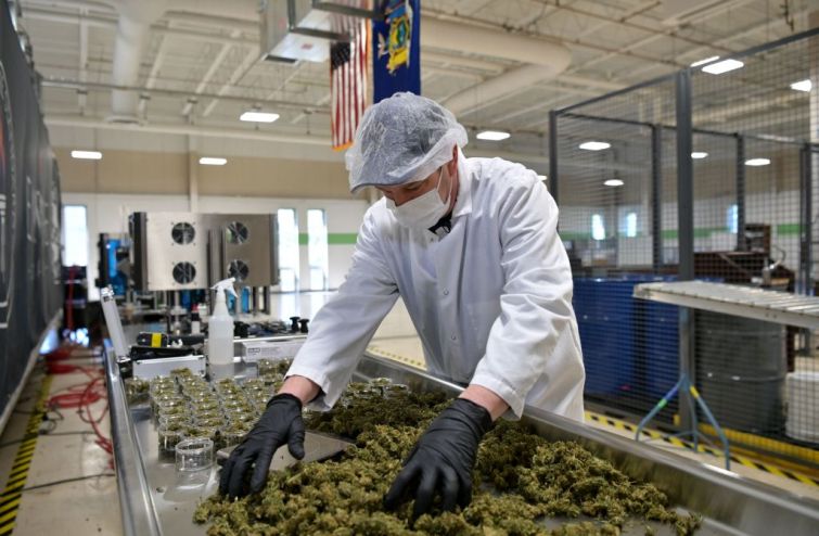 Cannabis cultivation facility