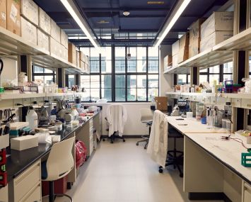 Winchester Lab in Connecticut.