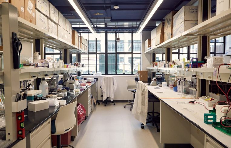 Winchester Lab in Connecticut.