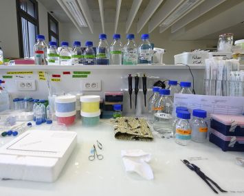 CBRE’s most recent report also explains an increasing developer interest in L.A.’s life sciences sector, with an influx of venture capital and continued NIH funding.