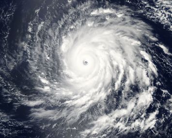 Climate change is threatening New York's coastline, and all of the people and buildings that reside in the five boroughs.