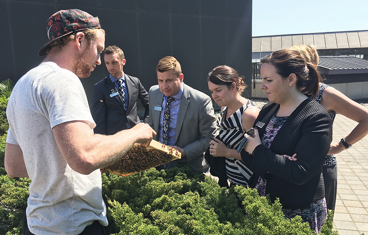 CO Alveole People close to an open hive 750x480 How Urban Beekeeping Company Alvéole Became Essential to Commercial Building Owners