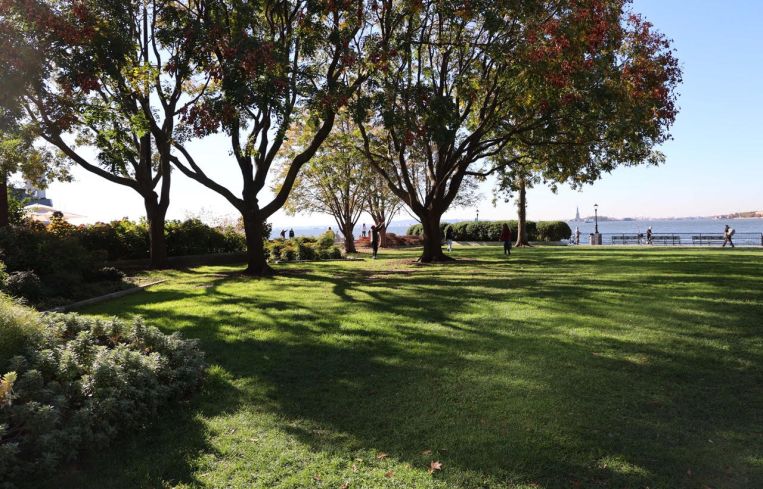 A large green lawn backed by trees.