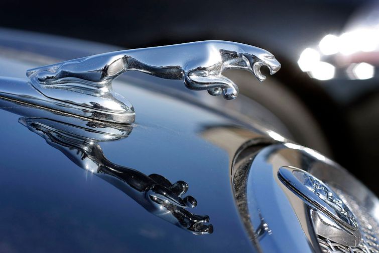 A Jaguar hood ornament sits on a Jaguar vehicle at a Jaguar/Land Rover dealership March 26, 2008. Michigan. Ford Motor Company announced it had entered into a definitive agreement to sell its Jaguar Land Rover operations to India-based Tata Motors for $2.3 billion. (Photo by Bill Pugliano/Getty Images)