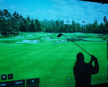 A person at an indoor golf range