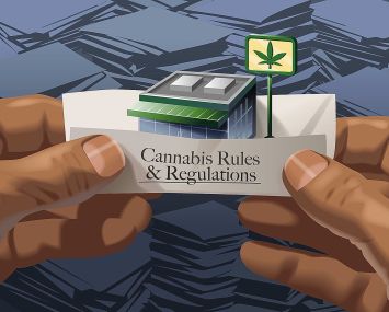 The first brick-and-mortar legal cannabis stores are expected to open in New York before the end of 2022.