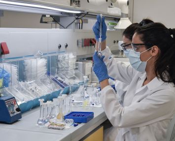 Through August this year, there were a total of 413,120 life sciences job postings, which is 28 percent higher than the same period last year.