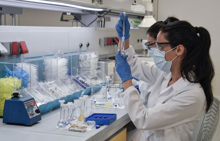 Through August this year, there were a total of 413,120 life sciences job postings, which is 28 percent higher than the same period last year.