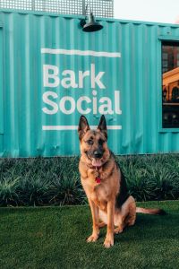 Bark Social is coming to Columbia, Md.