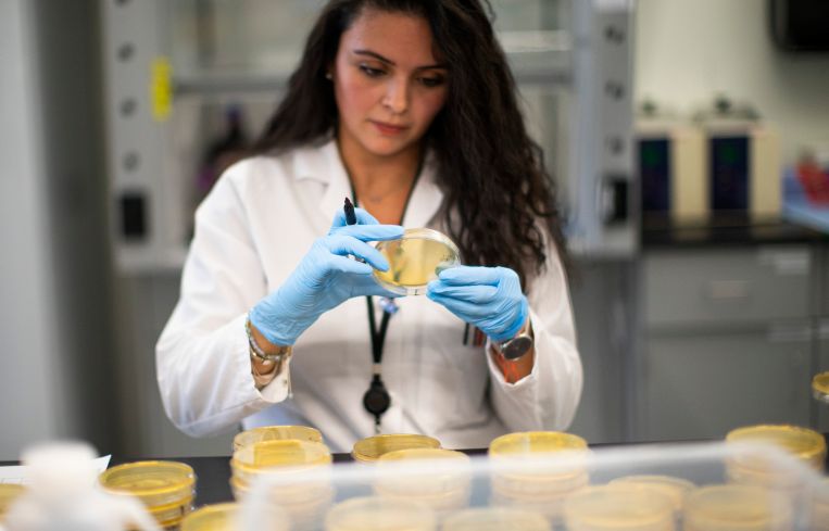 Researcher works in a lab that is developing virus testing.