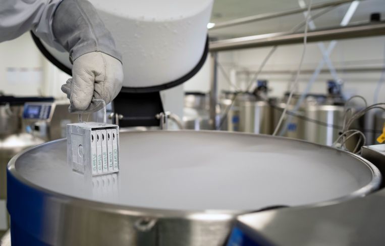 A biologist shows stem cell samples, stored in large liquid nitrogen freezers, submerged in liquid nitrogen vapor at minus 175 degrees Celsius.