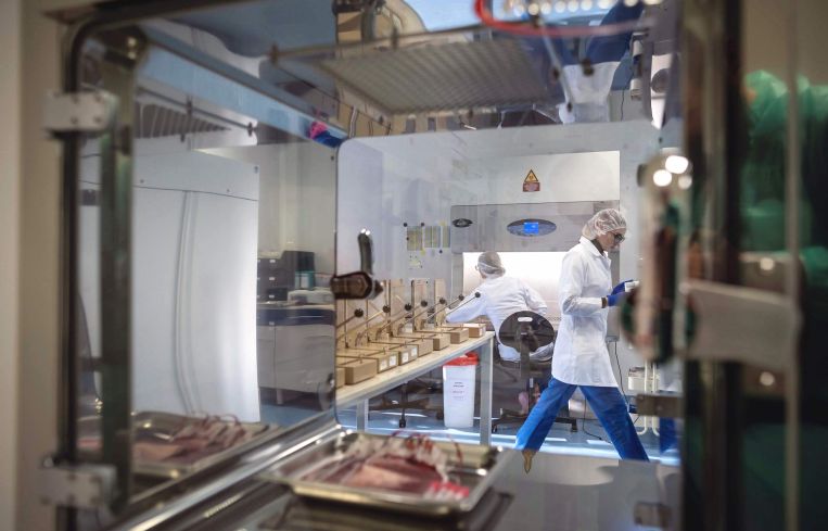 Stem cell storage is a billion-dollar global industry.