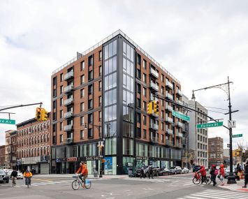 Among the gentrifying signifiers in Bed-Stuy is a Shake Shack at the corner of Bedford Avenue and Fulton Street.