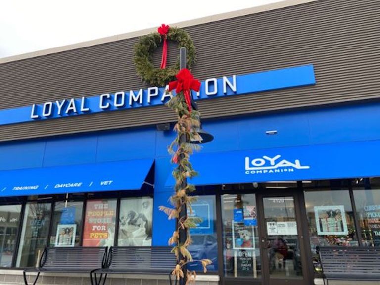 Loyal Companion Shuttering 11 NoVA and DC Locations