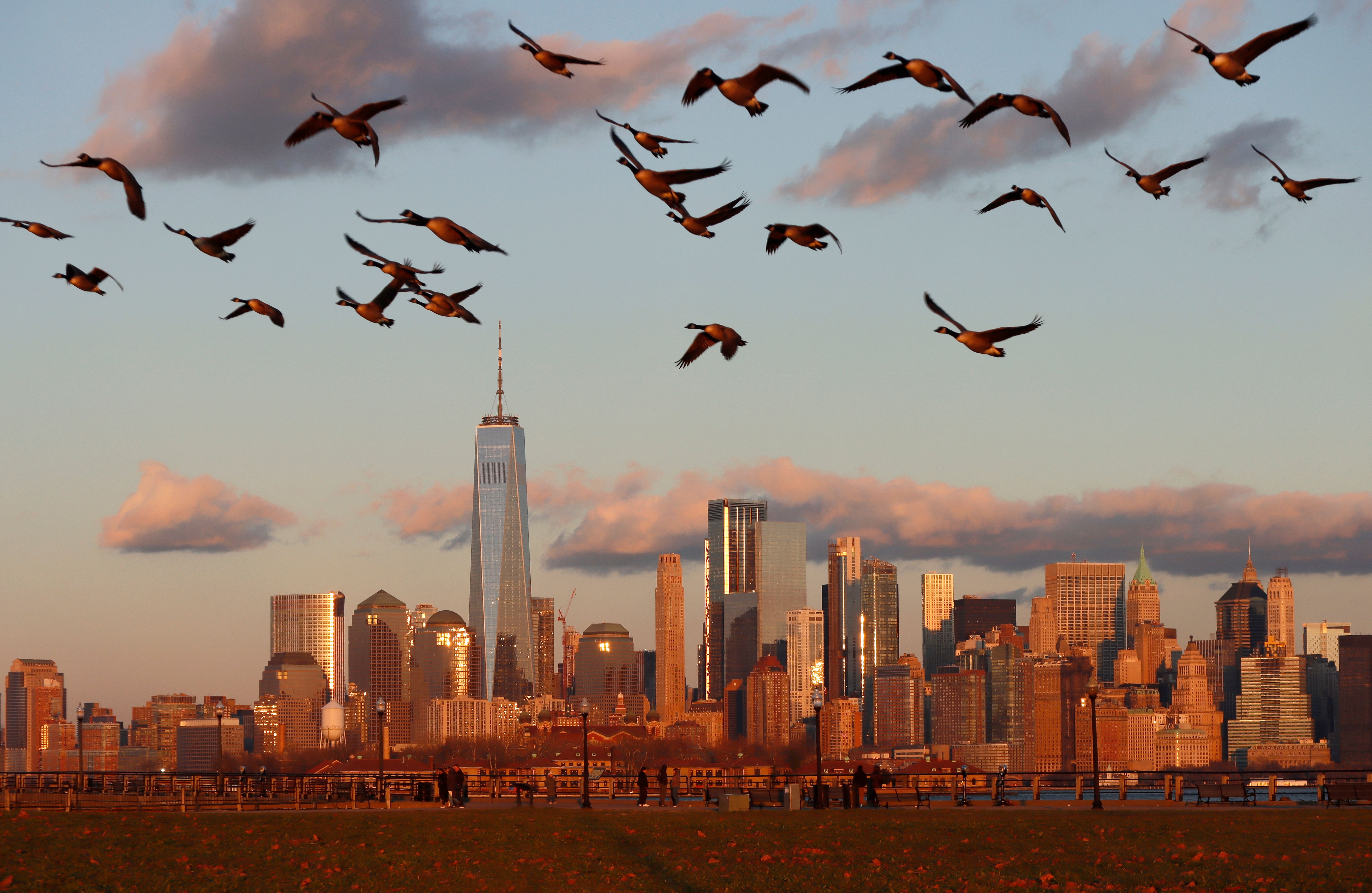 Newcomers to Manhattan Retail Market Dominate Leasing Momentum - Vimarsana News