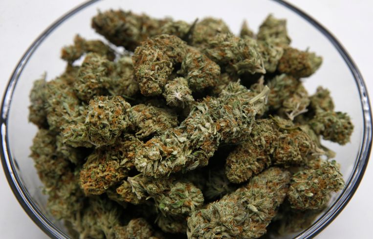 marijuana buds in a bowl