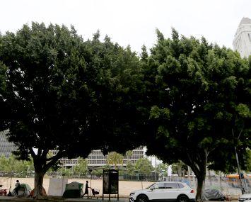 Los Angeles, CA - Tents that provide shelter for homeless people line First Street near Los Angeles City Hall.