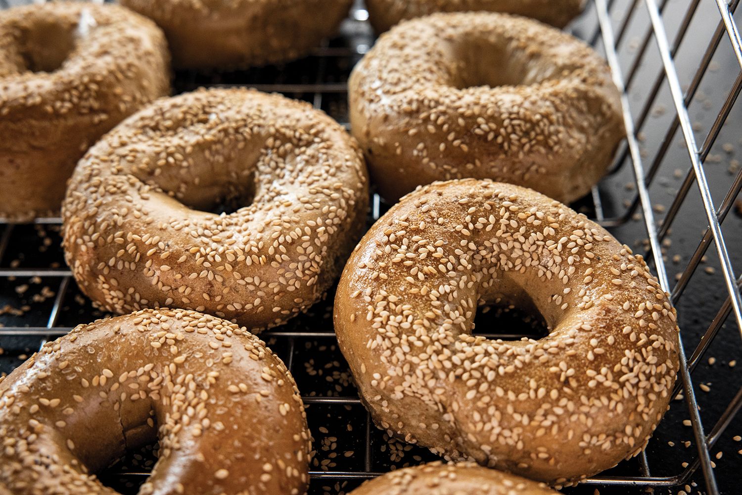 H&H Bagels' Nationwide Expansion Banks on Seinfeld Infamy – Commercial Observer - Vimarsana News
