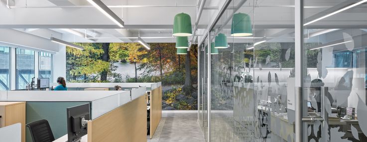 Central Park Conservancy incorporated green fixtures, large photos of the park and blonde wood to give its new offices a natural vibe.